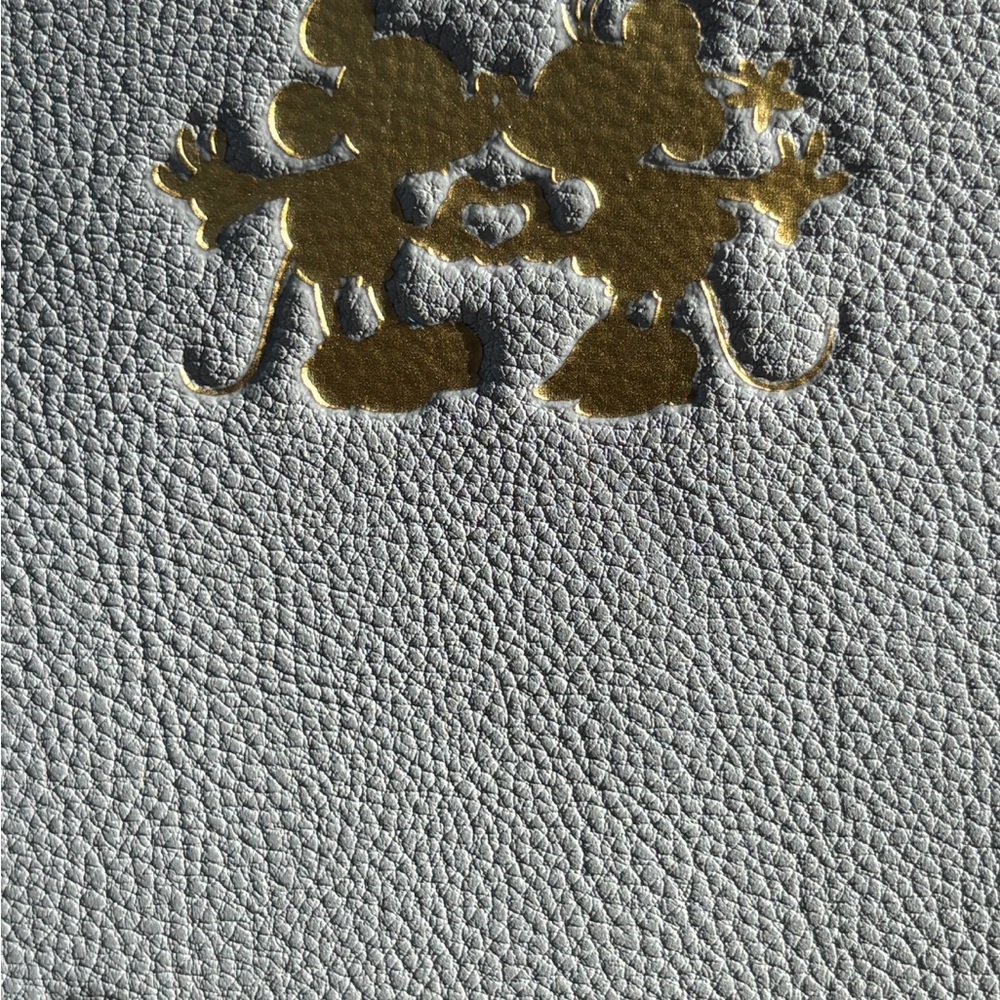 🍀Disney xPandora Wristlet/Pouch - Picture 4 of 4